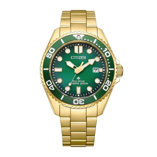 Citizen Promaster Eco Drive Diver BN0262 59W