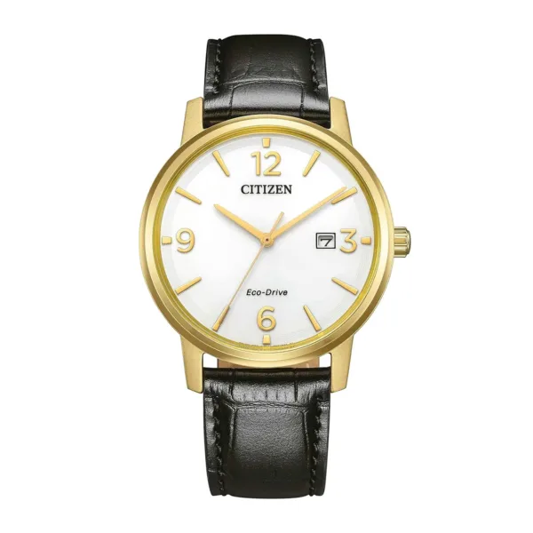 Citizen Sports Eco Drive BM6756 01A